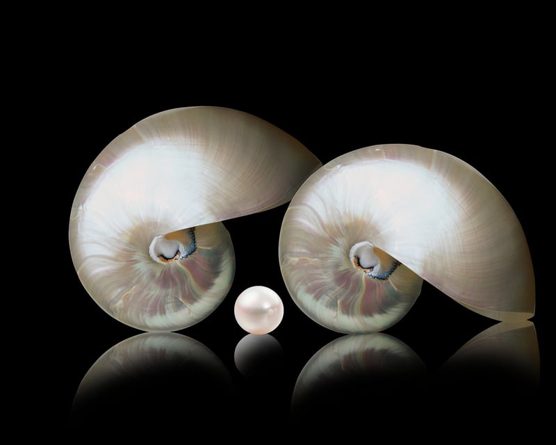 Mermaid Pearl Jewelry